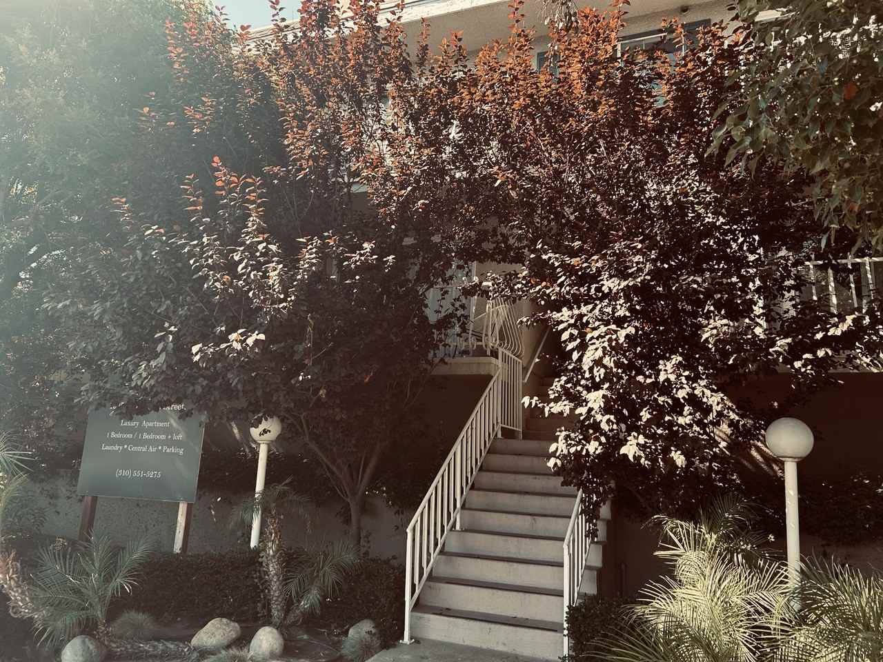 10853 Camarillo St #4 - Photo 5 of 20