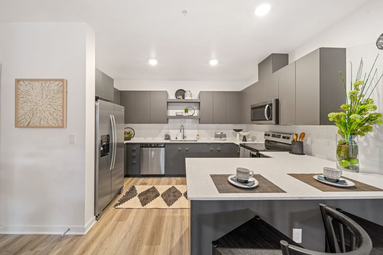 Rowan - Photo 2 of 50