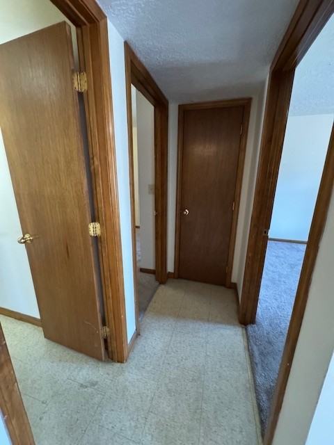 Tiger Lilee Cove - Photo 2 of 23