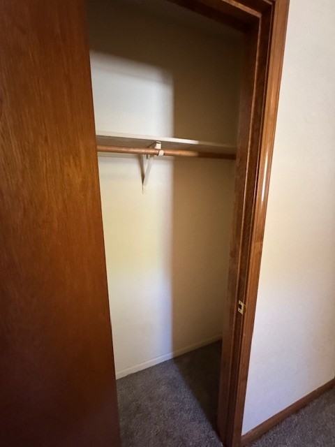 Tiger Lilee Cove - Photo 3 of 23