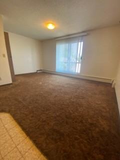 9527 98a Ave #205 - Photo 6 of 11