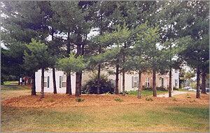 Terrace Heights - Photo 5 of 7