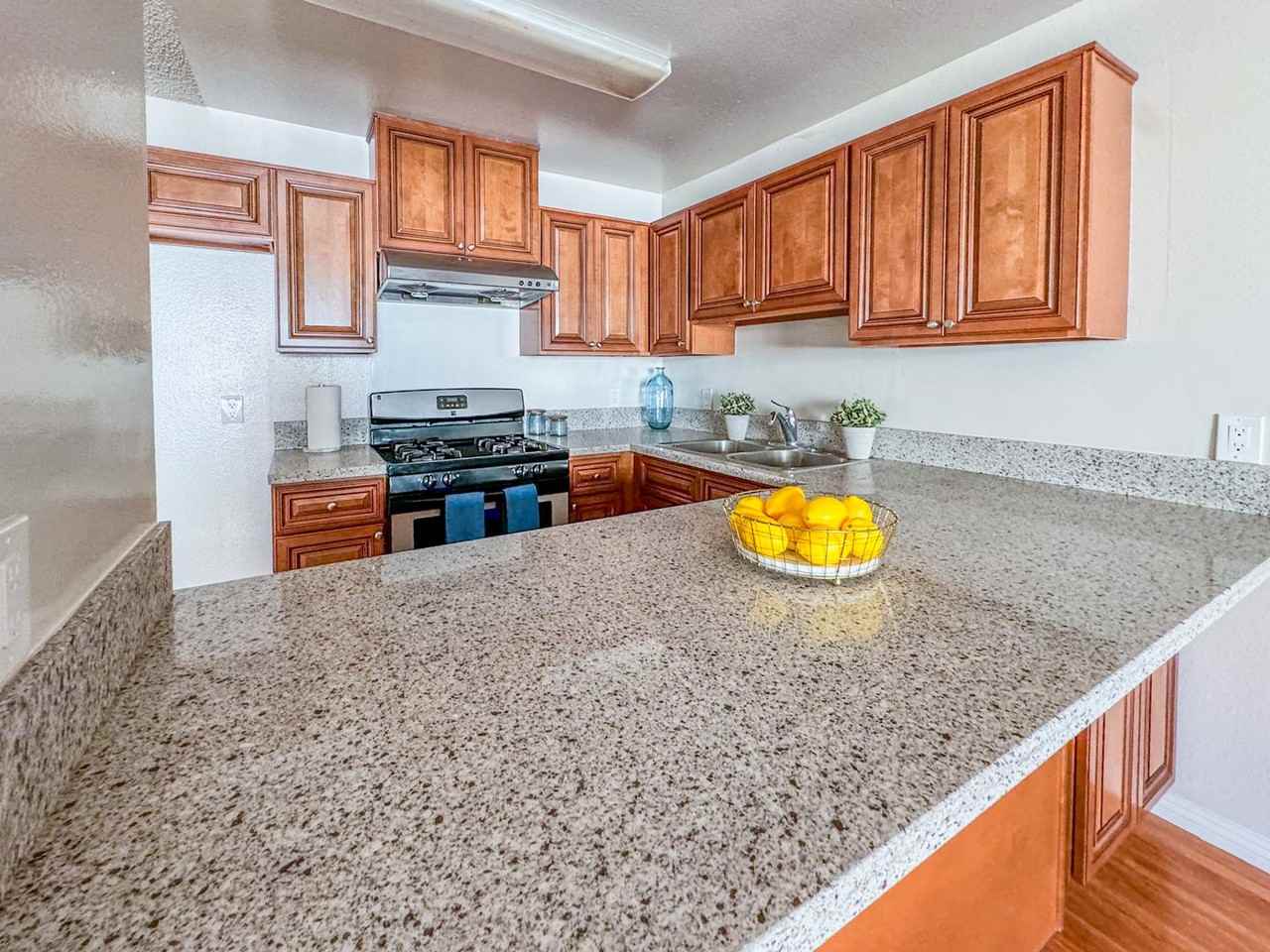 215 S. Occidental Blvd. - Photo 4 of 21