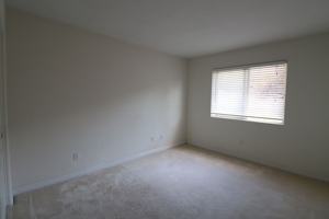 featured image of 926 Louisa Ter