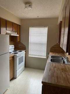 802 Navajo Trl - Photo 3 of 5