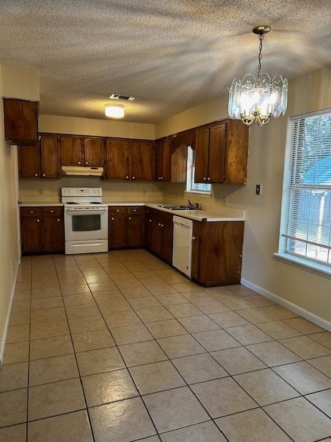 Kim Lane 12 - Photo 3 of 9