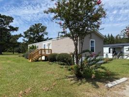 featured image of Rachel's Court