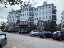 Riparia - Photo 1 of 1