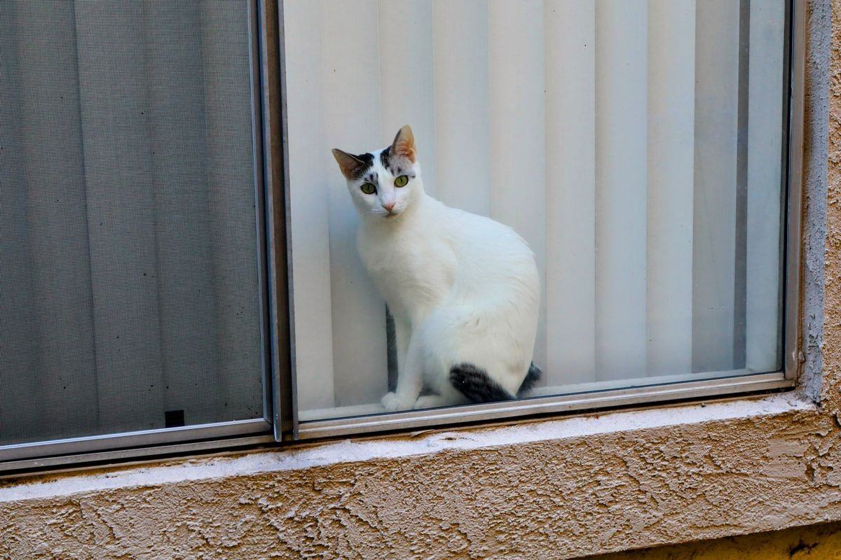 8425 Sunset Trail Pl ##E - Photo 4 of 13