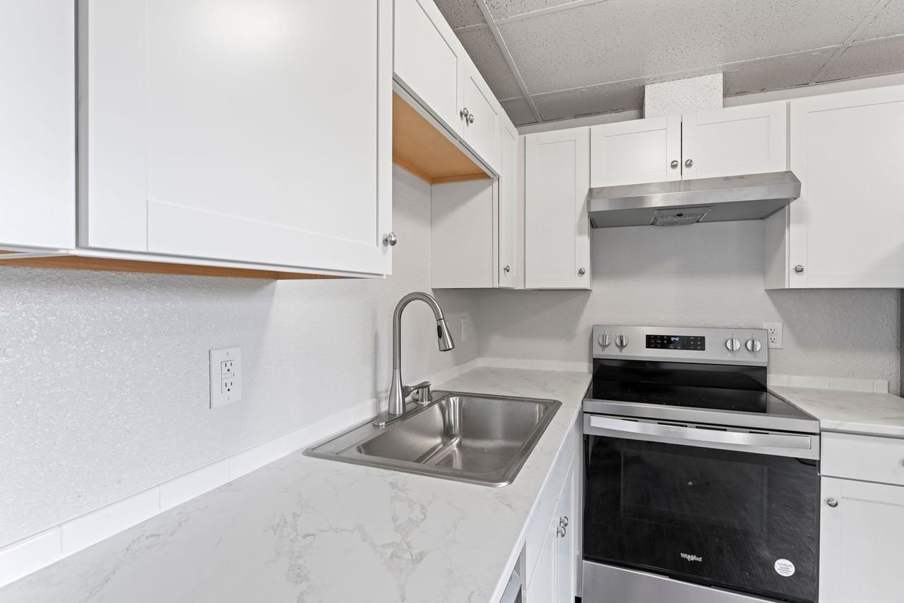 Mellen LH - Lionheart 5310 - Photo 4 of 17