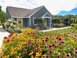 featured image of 46A Tamarlane