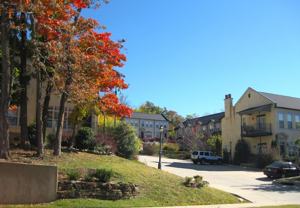 Maison Sequoyah - Photo 1 of 1