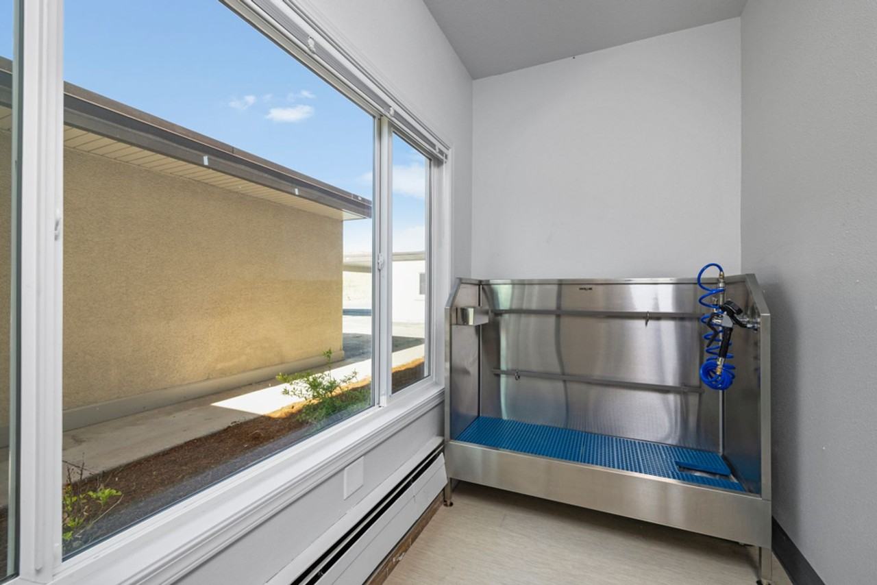 151 N Williams Ave #210 - Photo 7 of 18