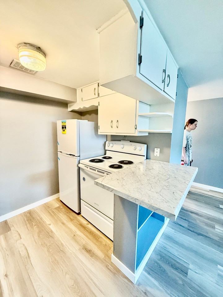 Renovated 1 Bedroom, 1 Bathroom Apartment – Prime Fargo Location Near NDSU! - Photo 3 of 10