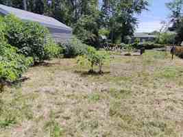 featured image of 1816 West Scott Street