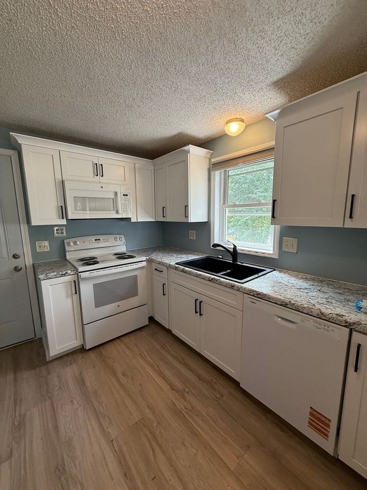 113 Rea St - Photo 3 of 18