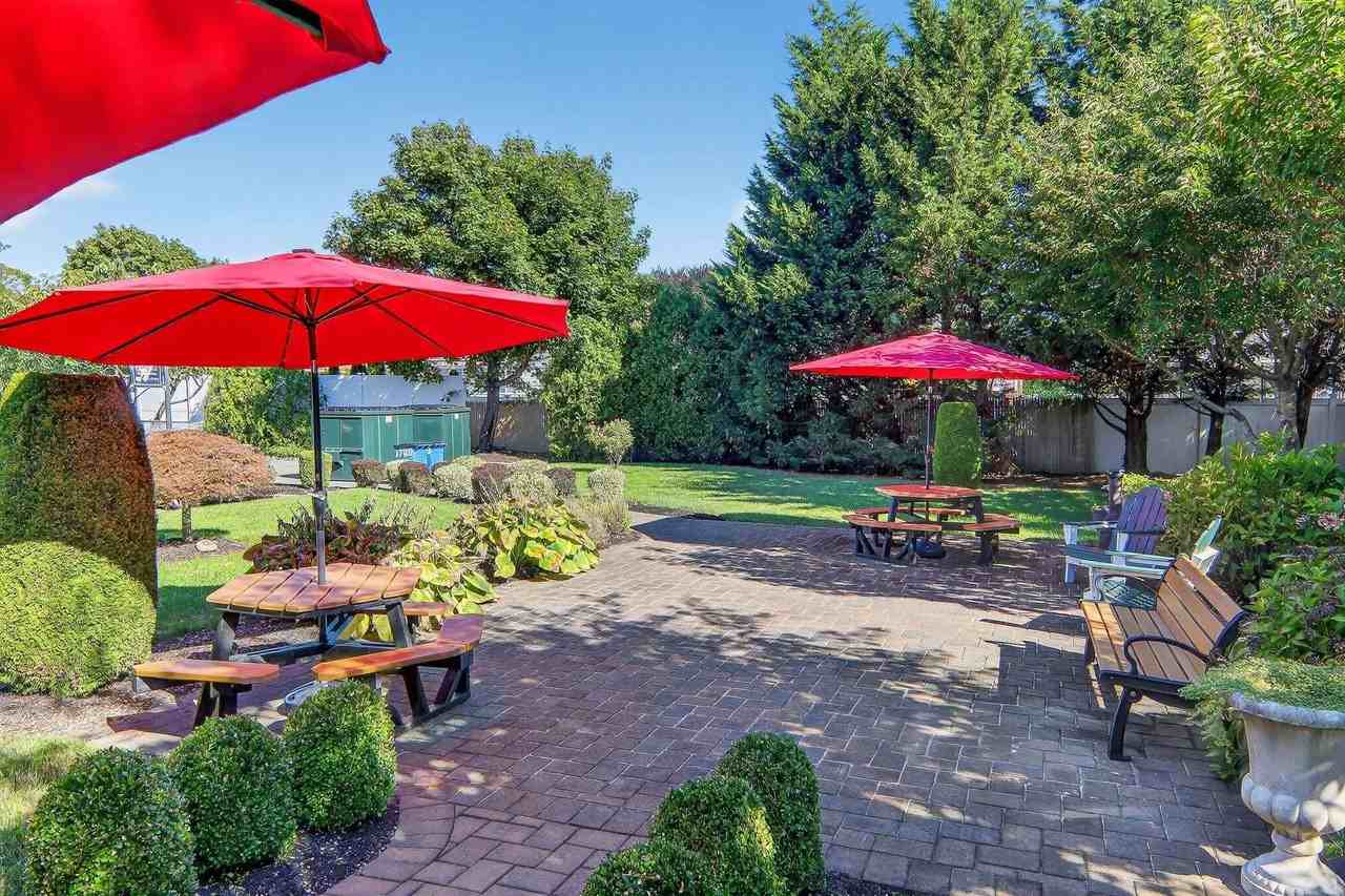 Seaford Gardens - Photo 6 of 11