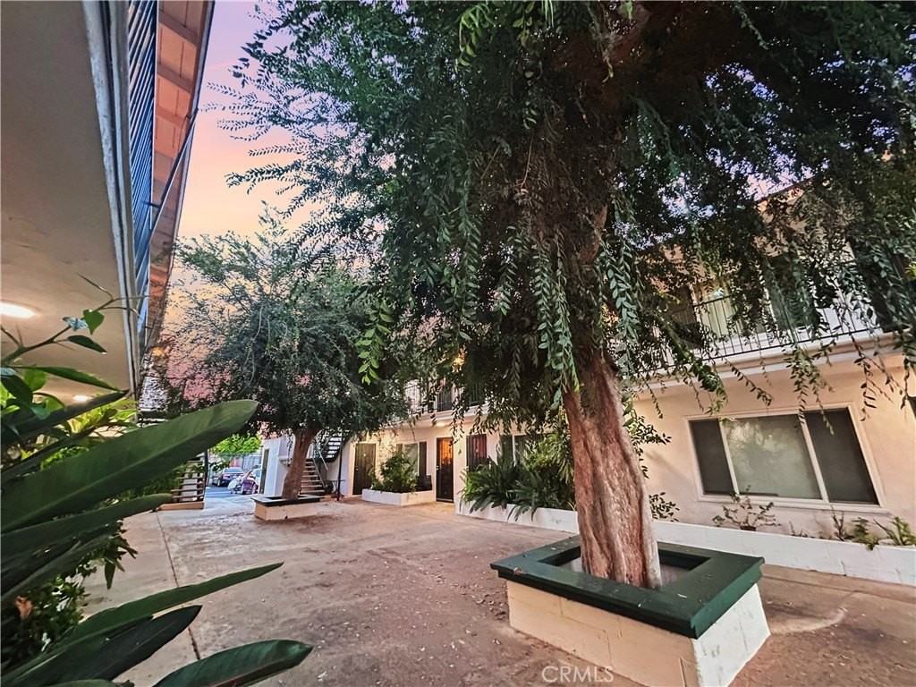 1109 South Minnie Street - Photo 5 of 20