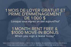 featured image of 3980 Boul Saint-Elzéar O