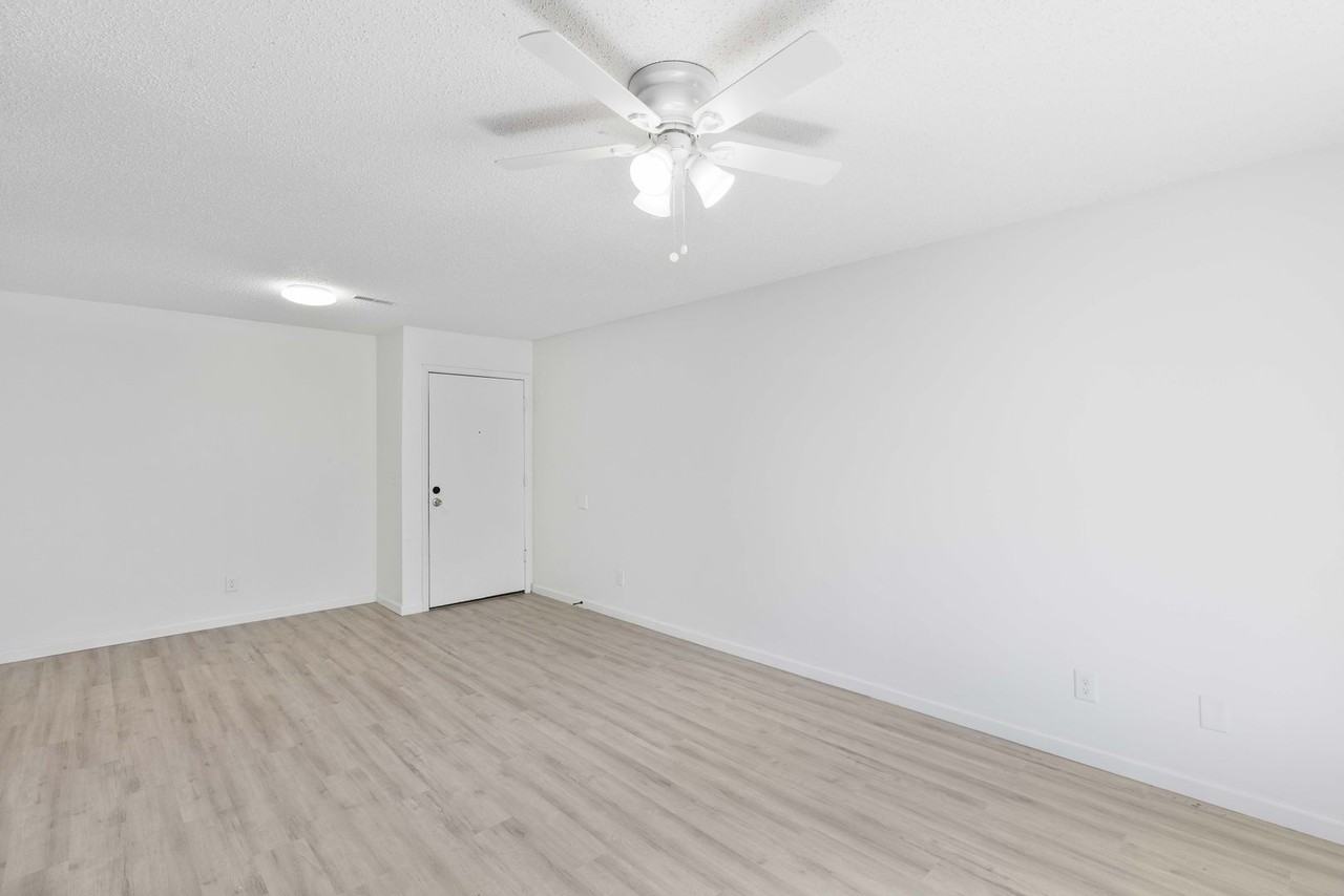 Recently updated apartments near to shopping, dining, and public transportation - Photo 3 of 13