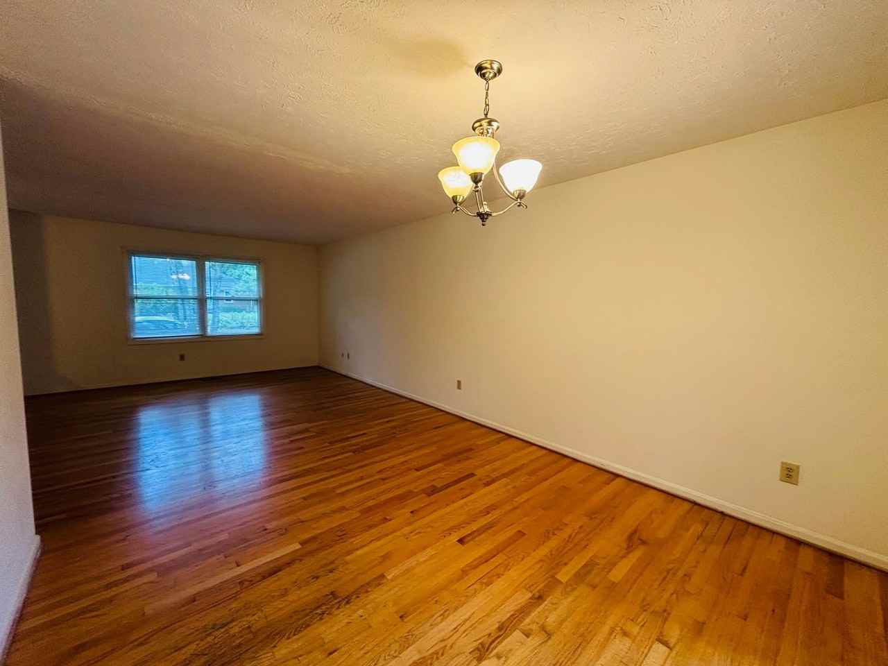 315 Sunset Blvd - Photo 6 of 20