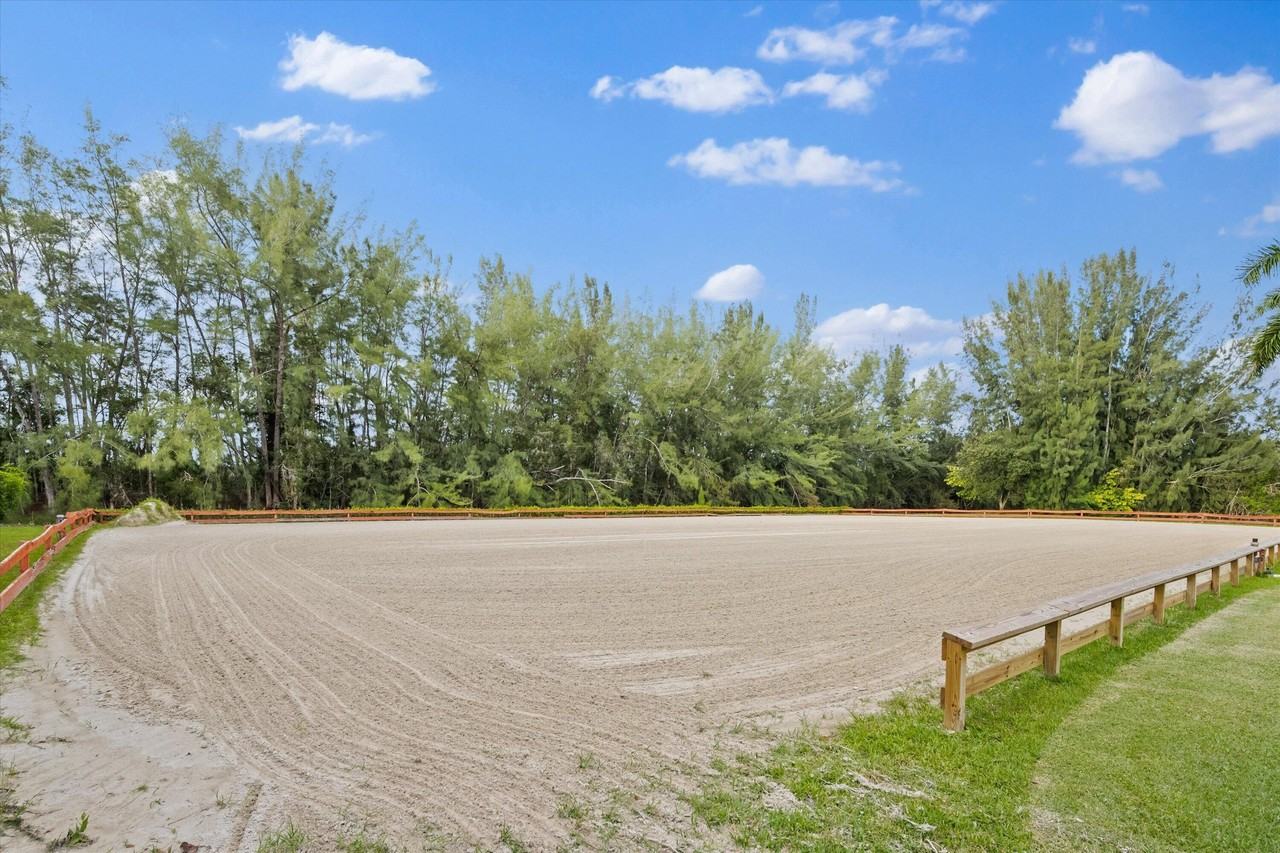 11861 Hawk Holw - Photo 6 of 25