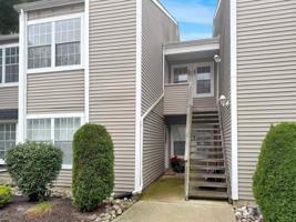 featured image of 53 Driftwood Ct