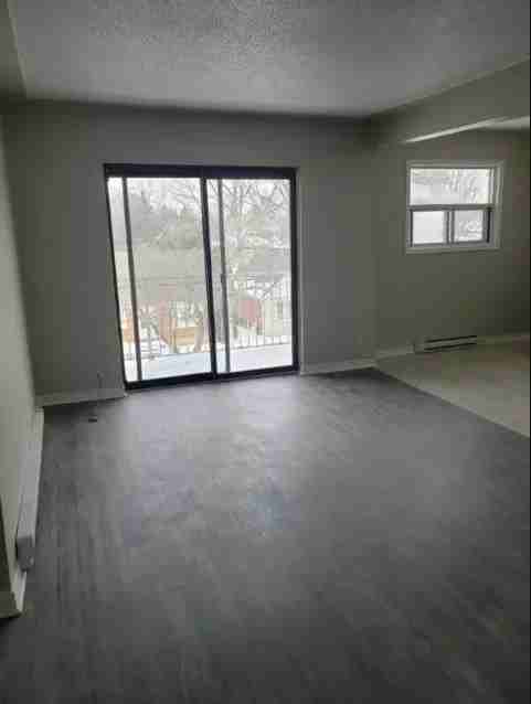 Mausser Manor - Photo 3 of 4