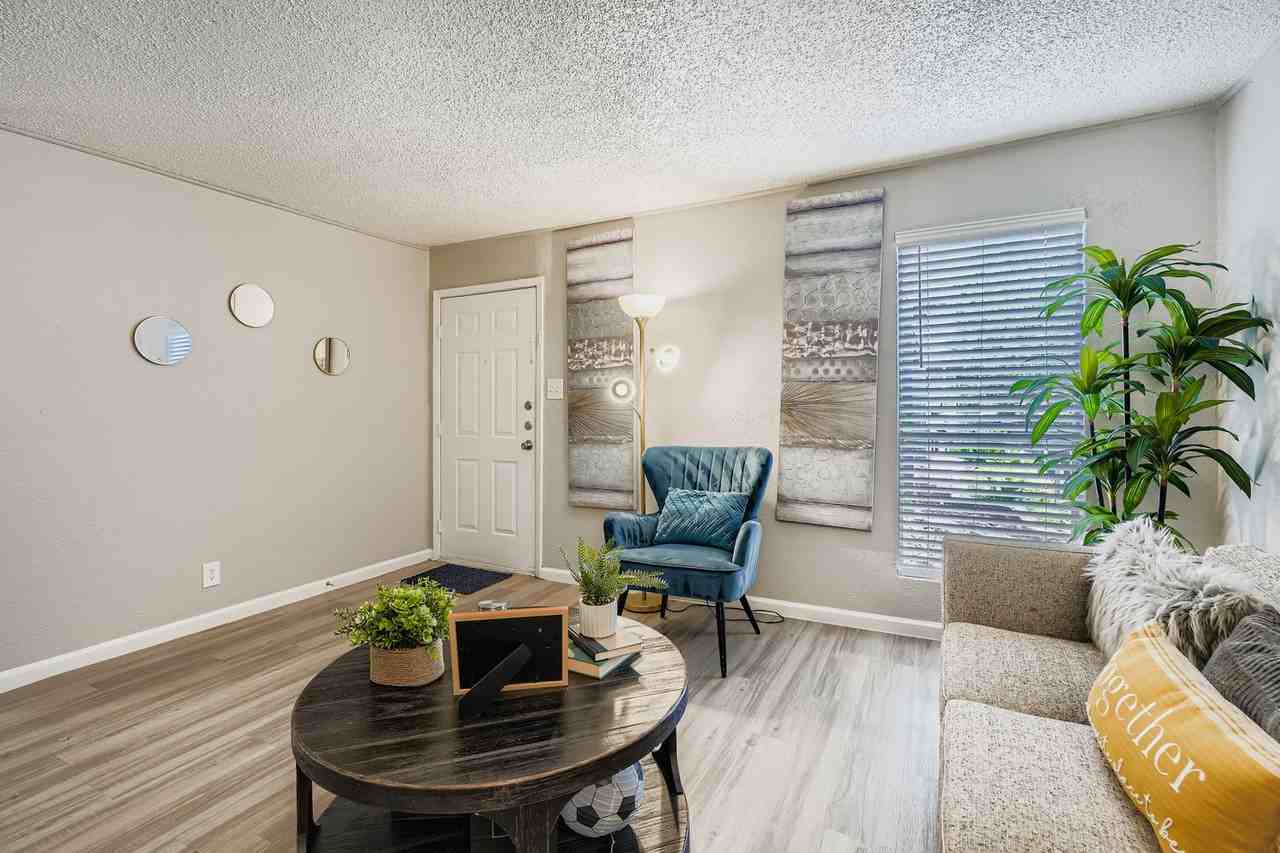 South Shore - Photo 7 of 41