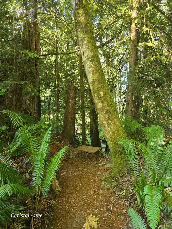 50 Se Crystal Creek Ct - Photo 2 of 16