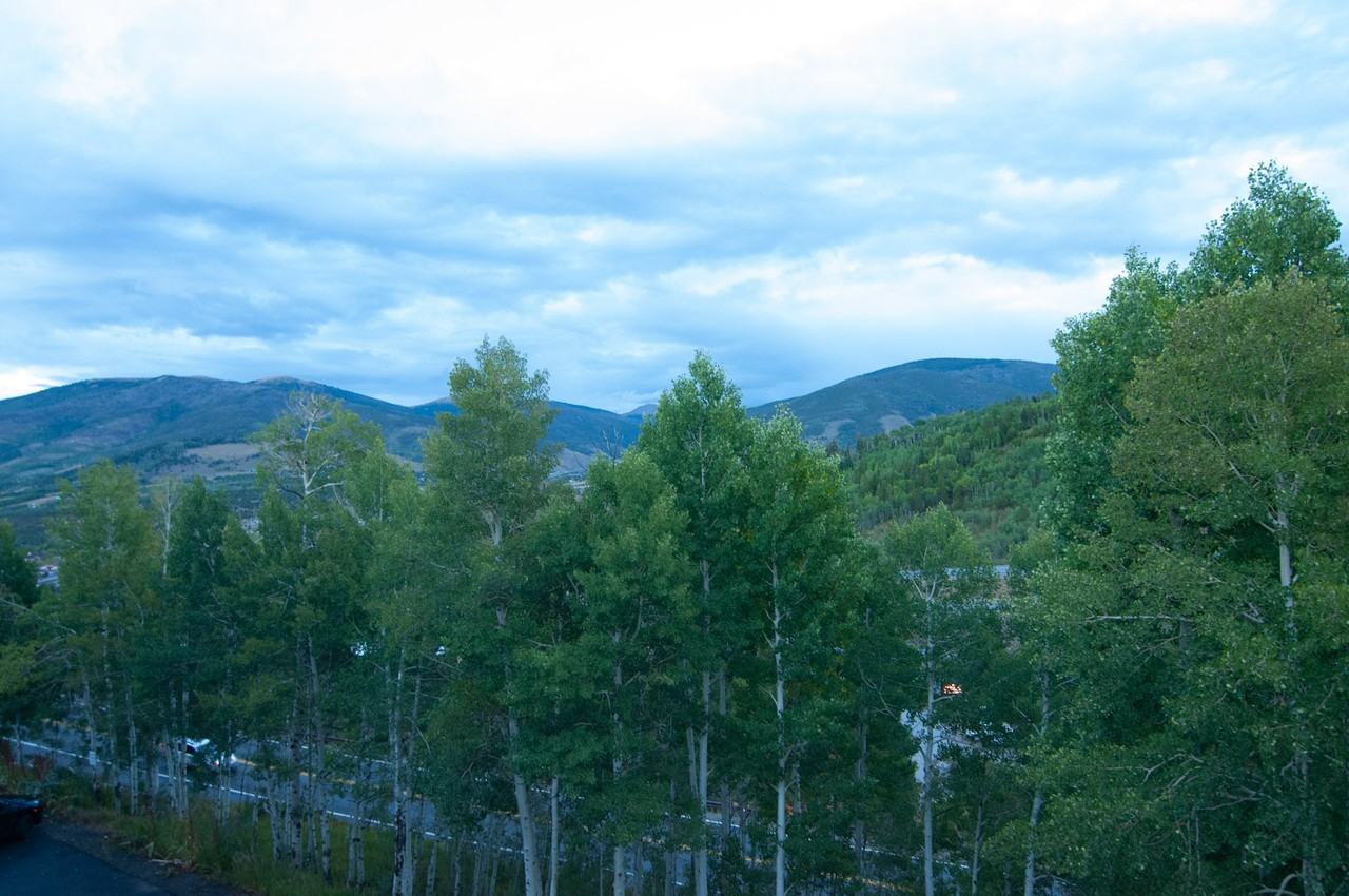 2449 Ryan Gulch Rd #306 - Photo 5 of 25