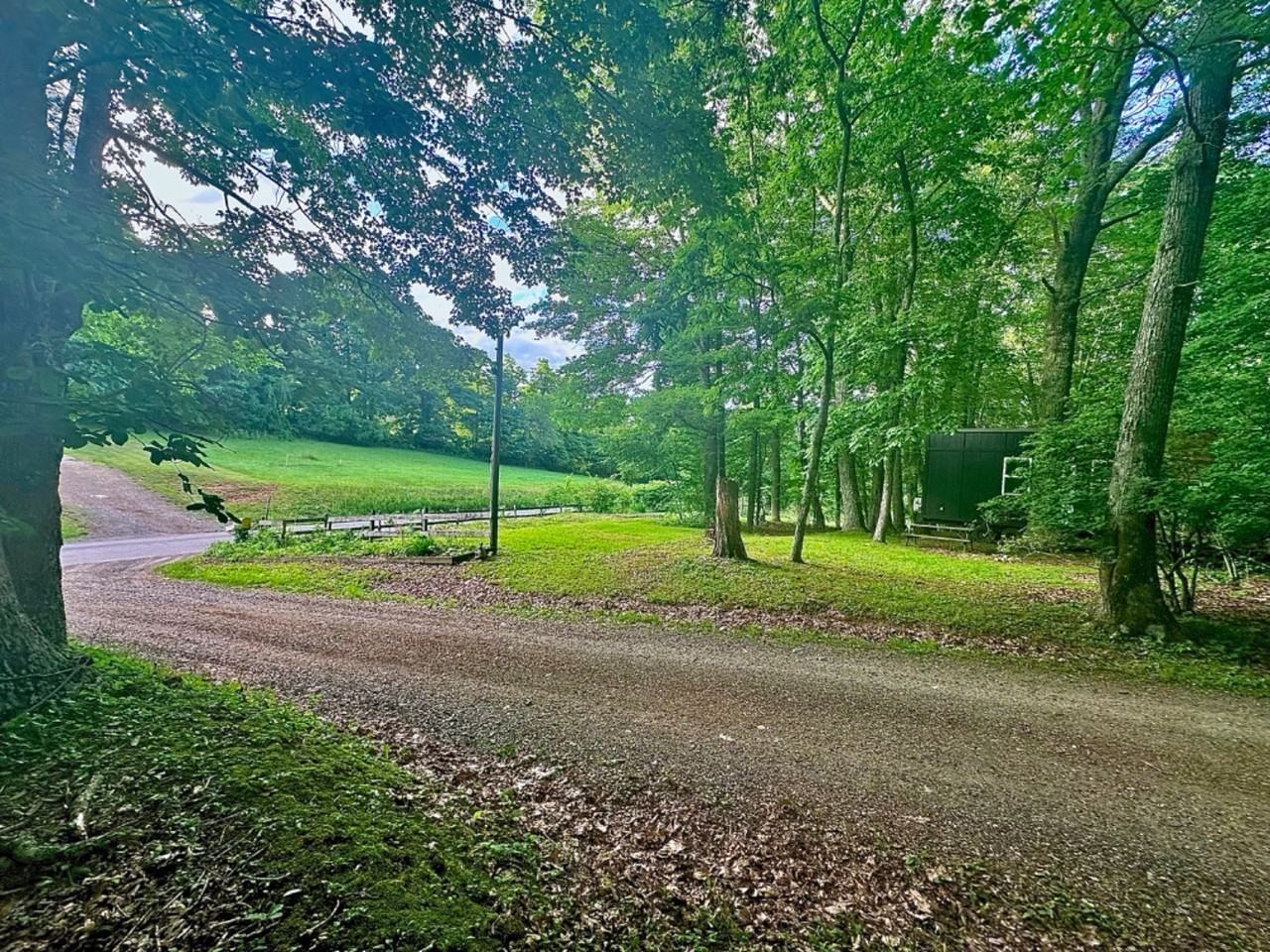 Mountain Haven Community - Photo 2 of 10