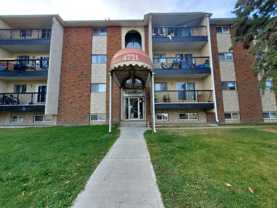 Large 2 Bedroom Units in Mature Area of Downtown - Photo 1 of 1