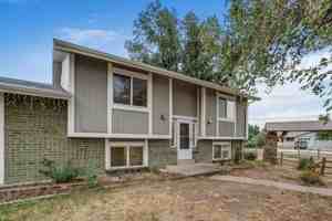 featured image of 1320 Youngfield St