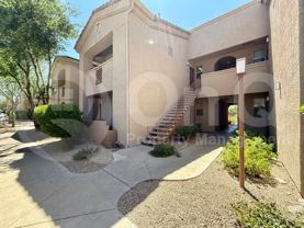 29606 N Tatum Blvd #233 - Photo 1 of 1
