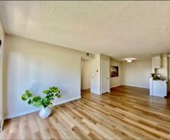 featured image of 11817 Victory Blvd