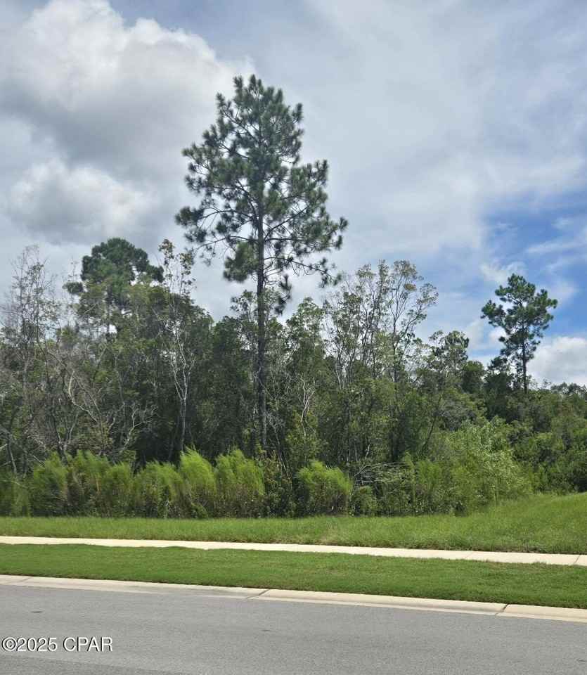 8703 Conch Shell Ct - Photo 5 of 27