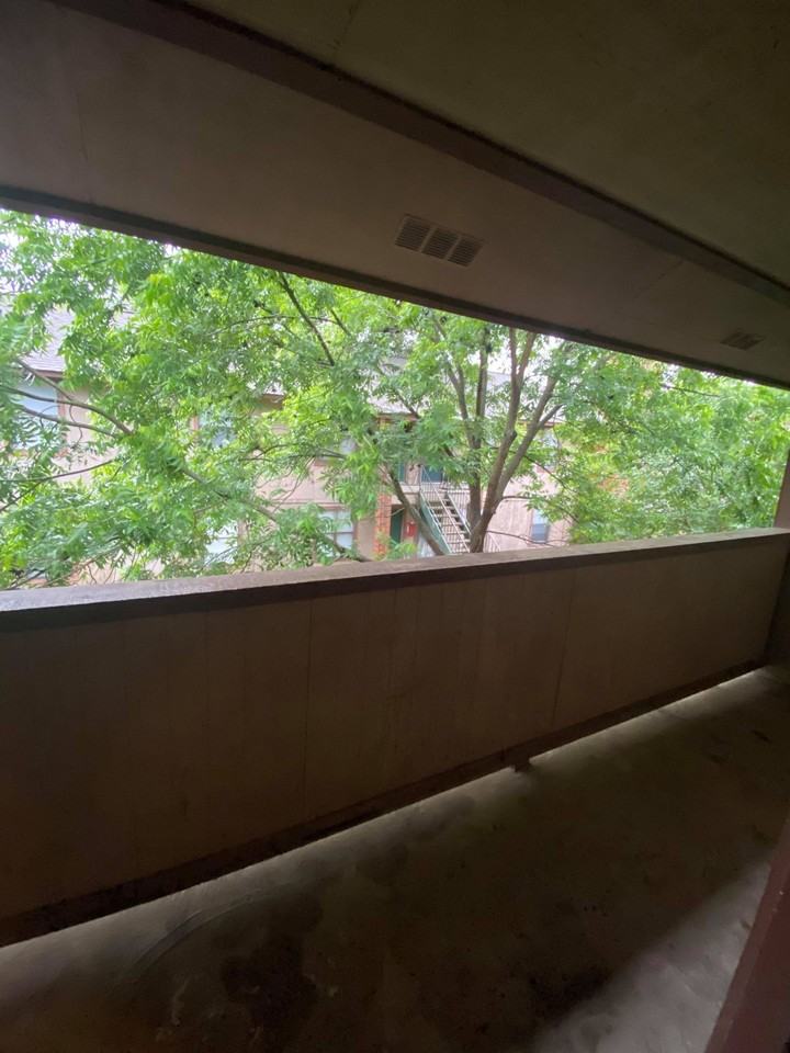 139 Elm Street - Photo 7 of 50
