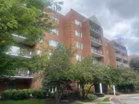 6540 W Irving Park Rd #204 - Photo 1 of 1