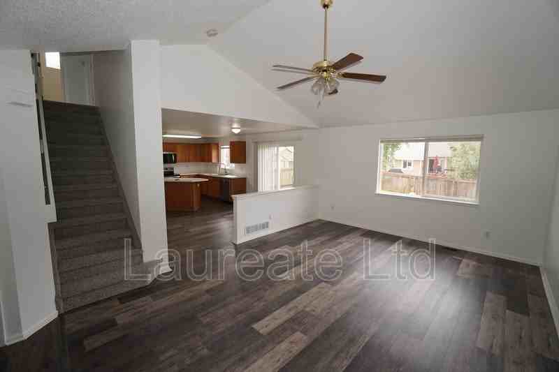 2462 Kiowa Creek Dr - Photo 4 of 19