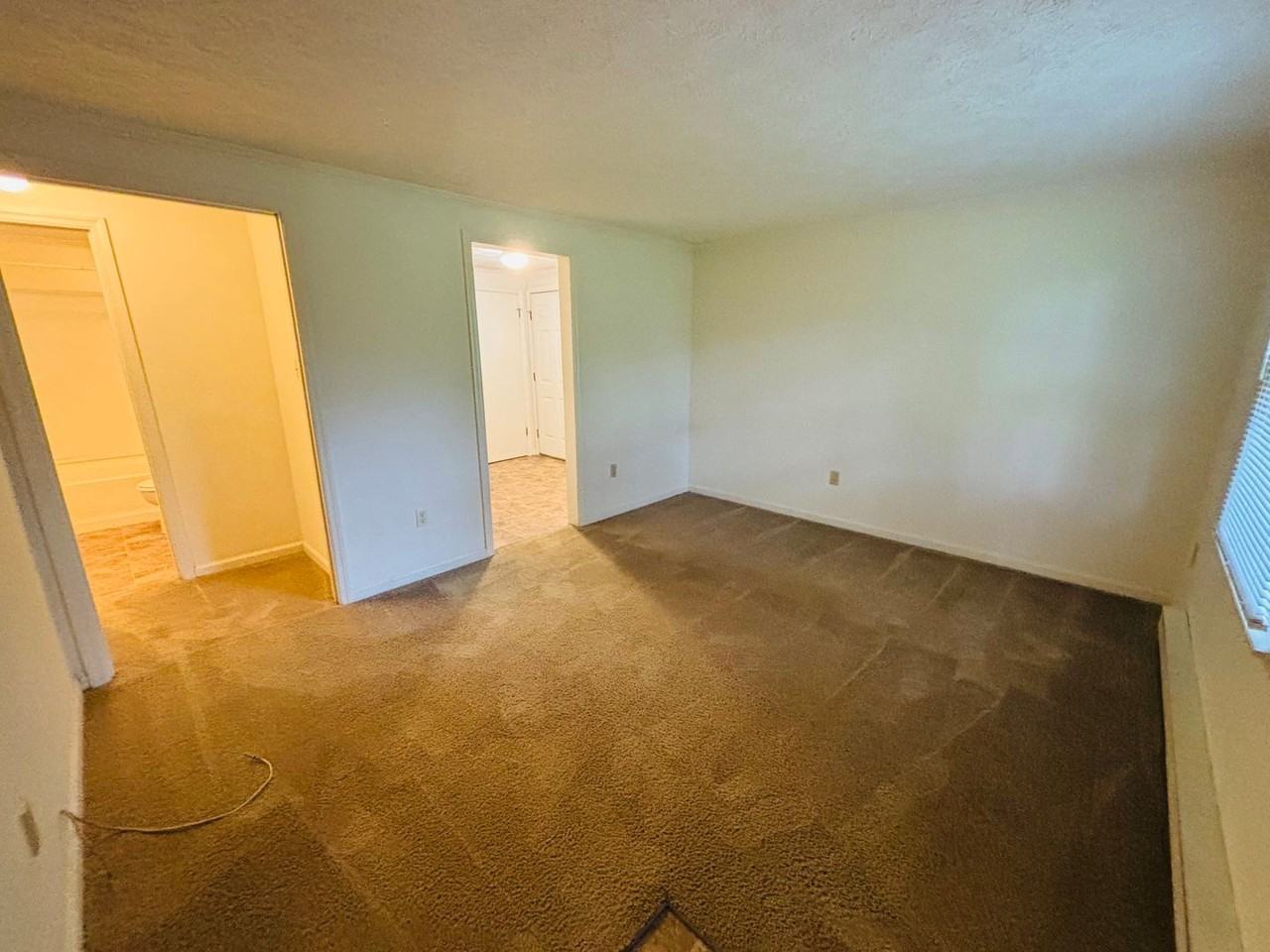 2913 Walls Branch Rd - Photo 4 of 14