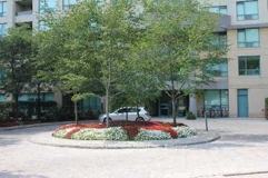 238 Doris Avenue #1902 - Photo 1 of 1