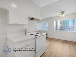 featured image of 223 & 229 Queen St.