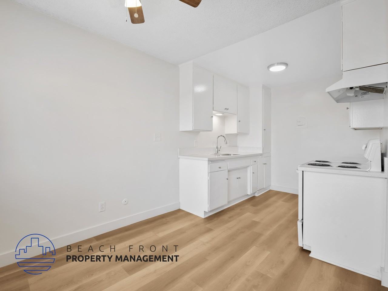 223 & 229 Queen St. - Photo 3 of 13