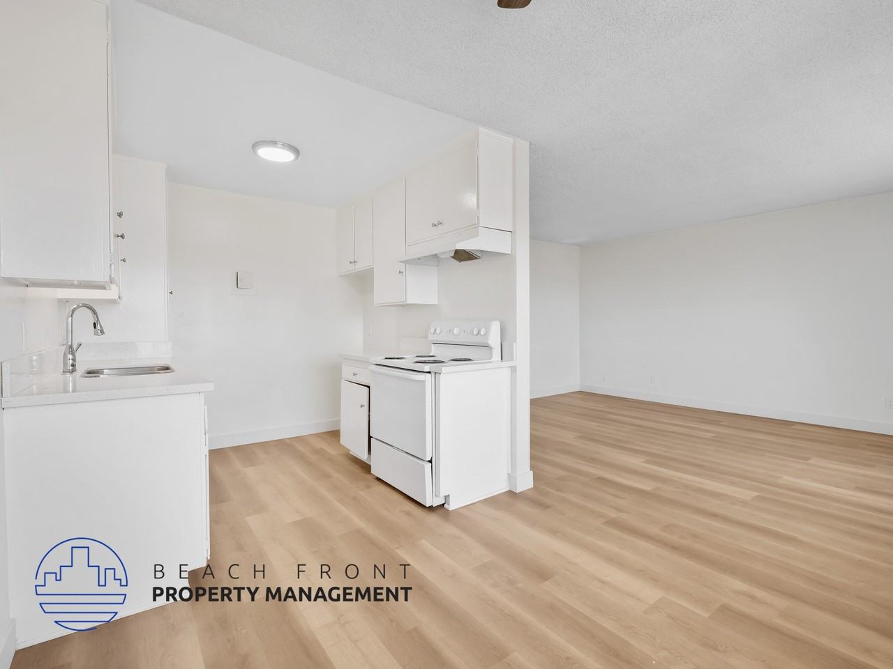 223 & 229 Queen St. - Photo 4 of 13