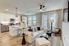 The Palo - Photo 1 of 1