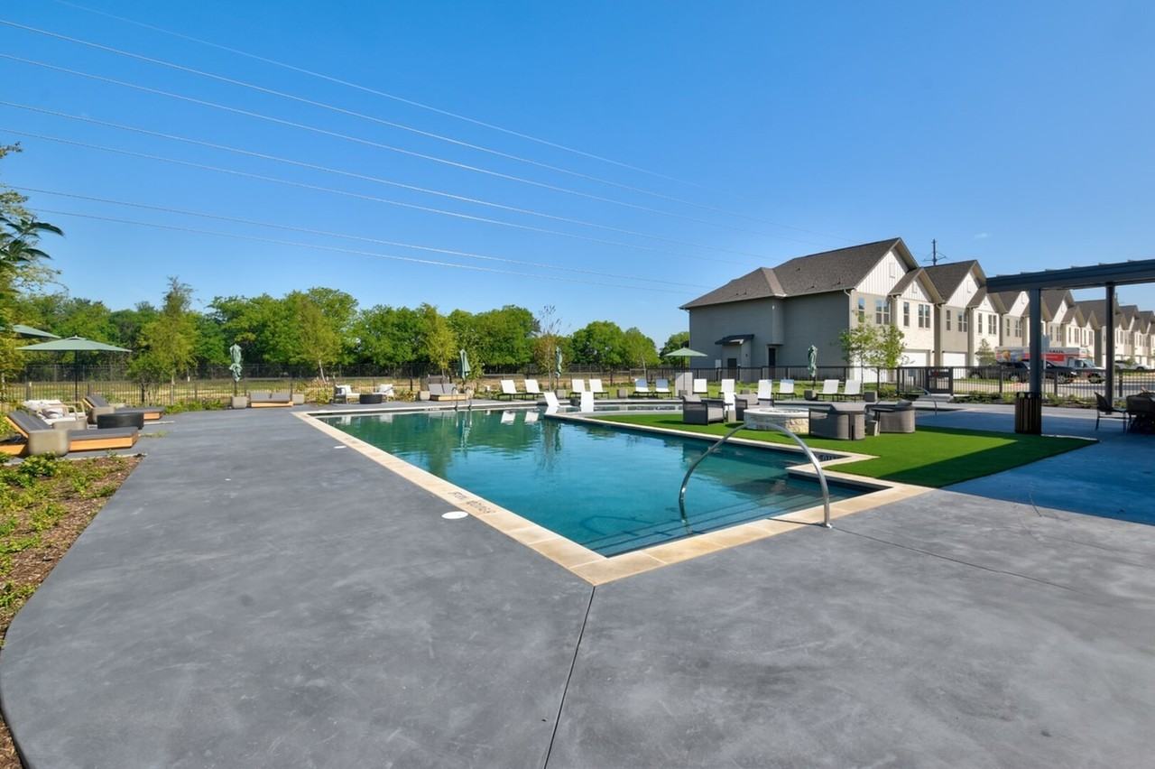 The Palo - Photo 3 of 45