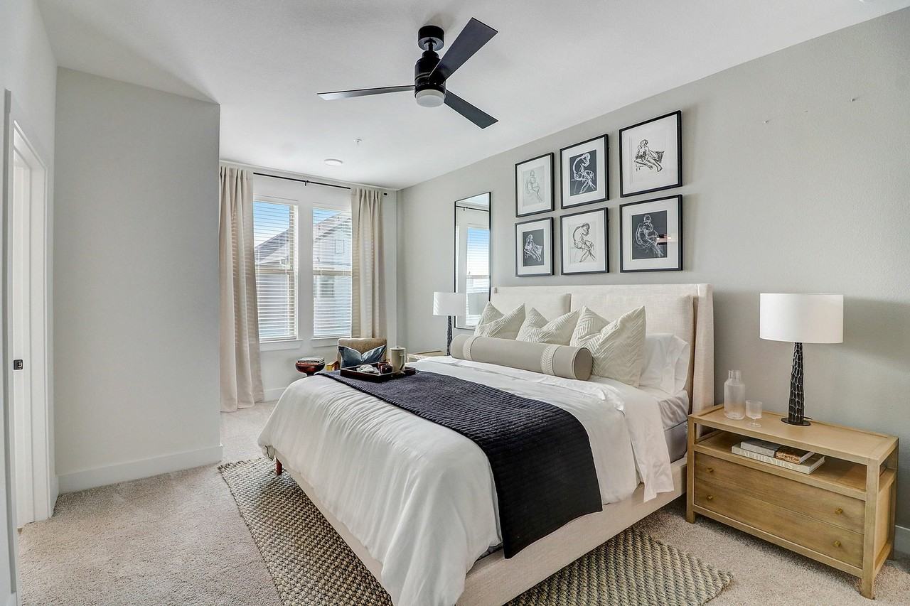 The Palo - Photo 4 of 45