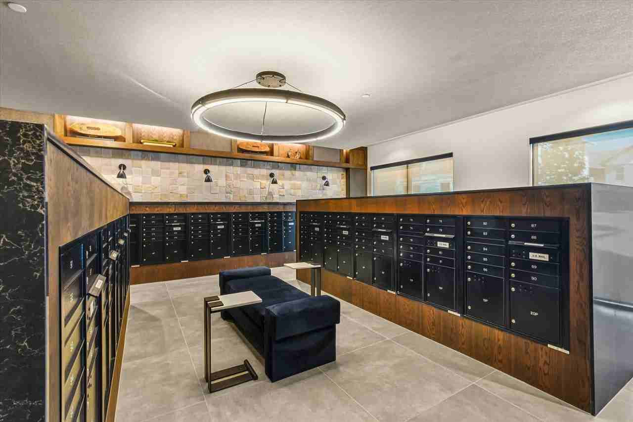 The Palo Apartments - Photo 5 of 51