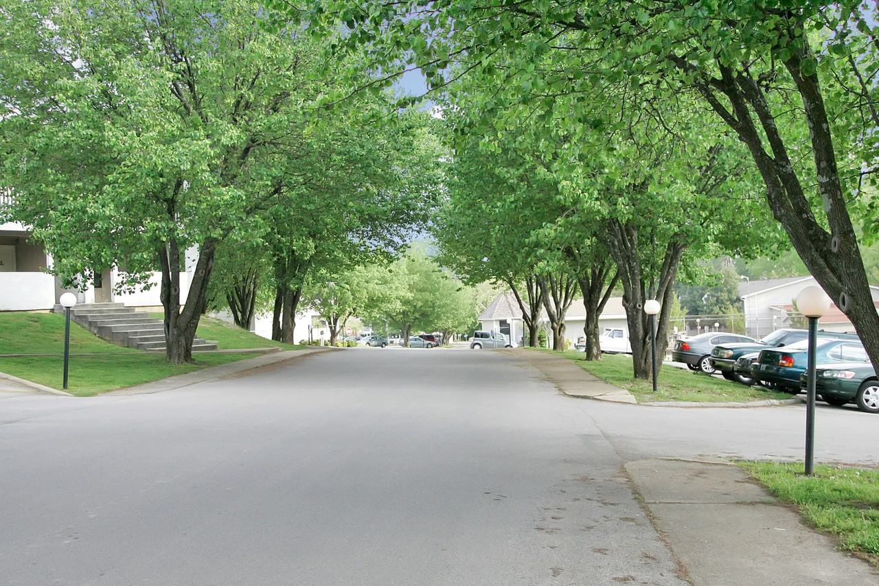 Lily Grace South - Photo 6 of 16